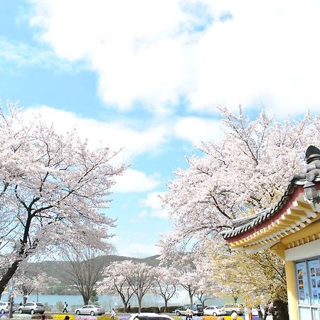 Corea Condo Gyeongju Luaran gambar