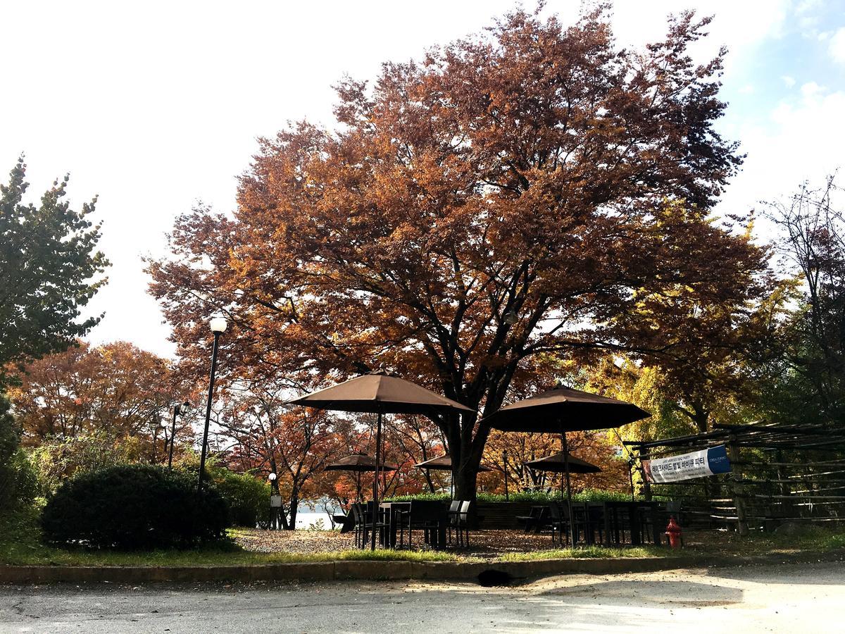 Corea Condo Gyeongju Luaran gambar