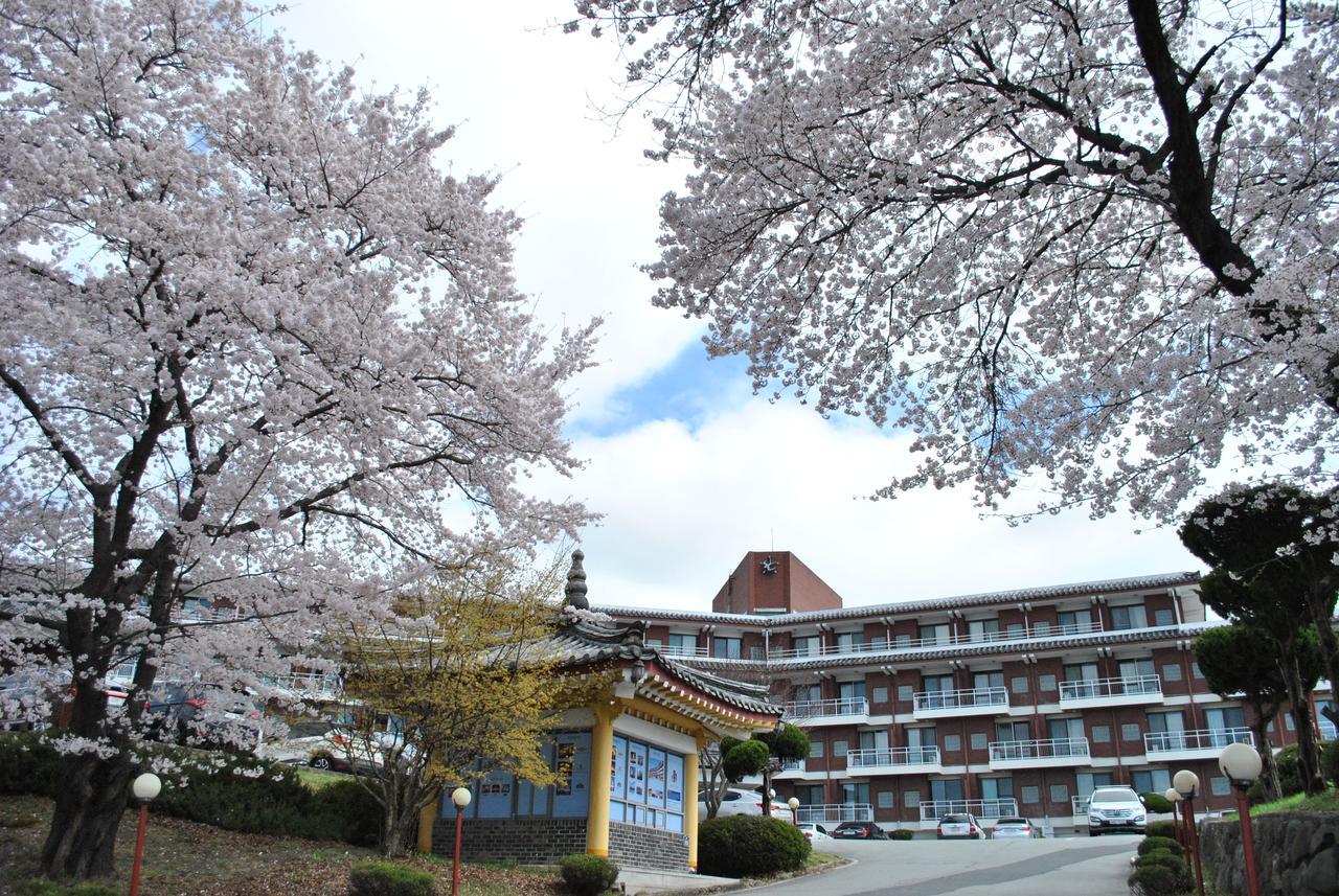 Corea Condo Gyeongju Luaran gambar