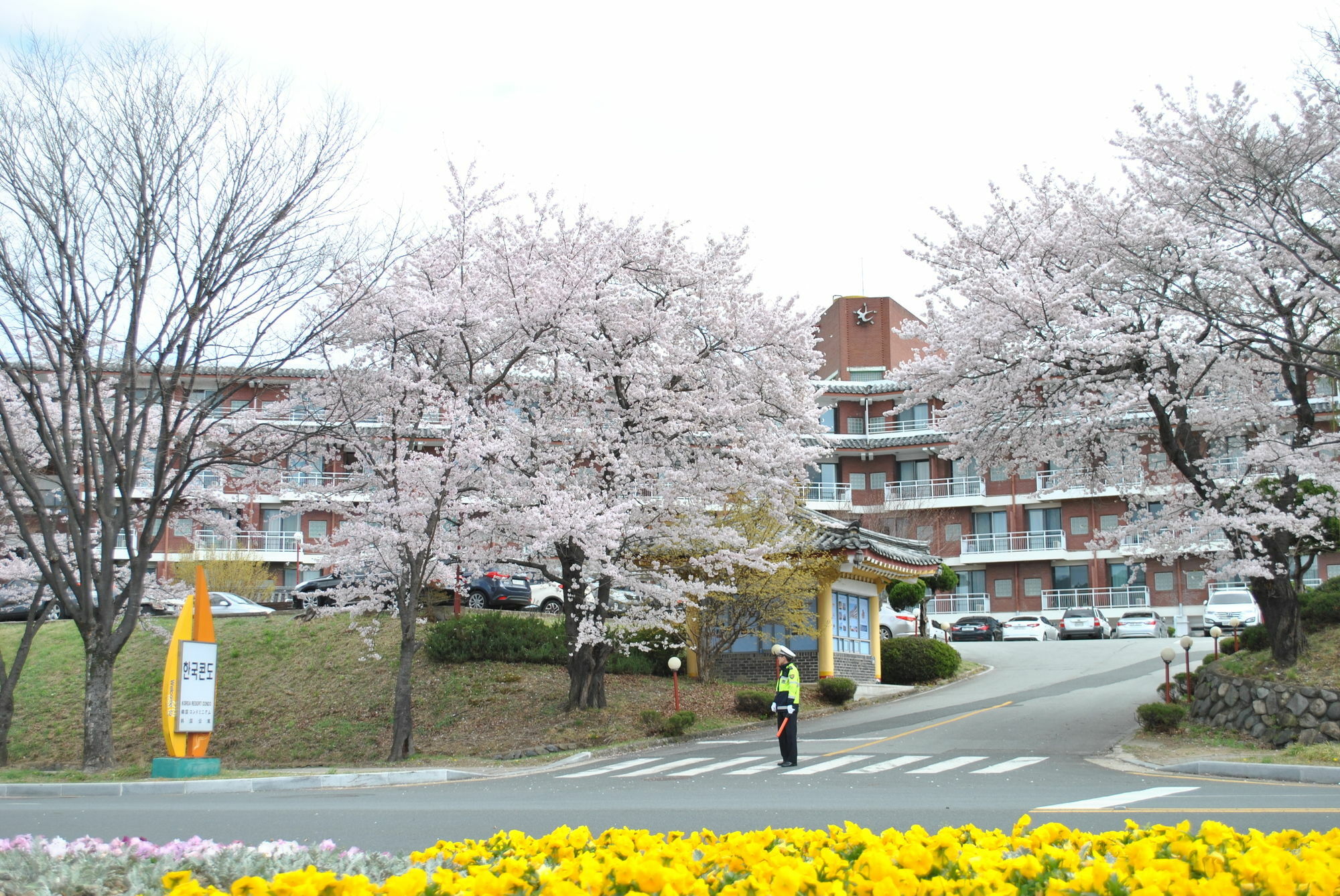 Corea Condo Gyeongju Luaran gambar