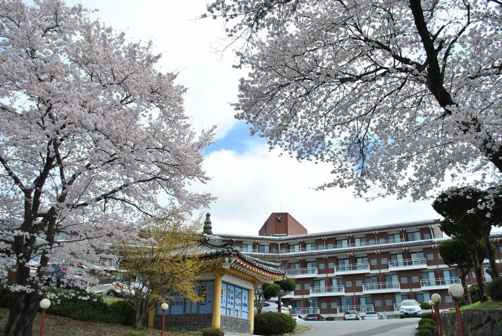 Corea Condo Gyeongju Luaran gambar