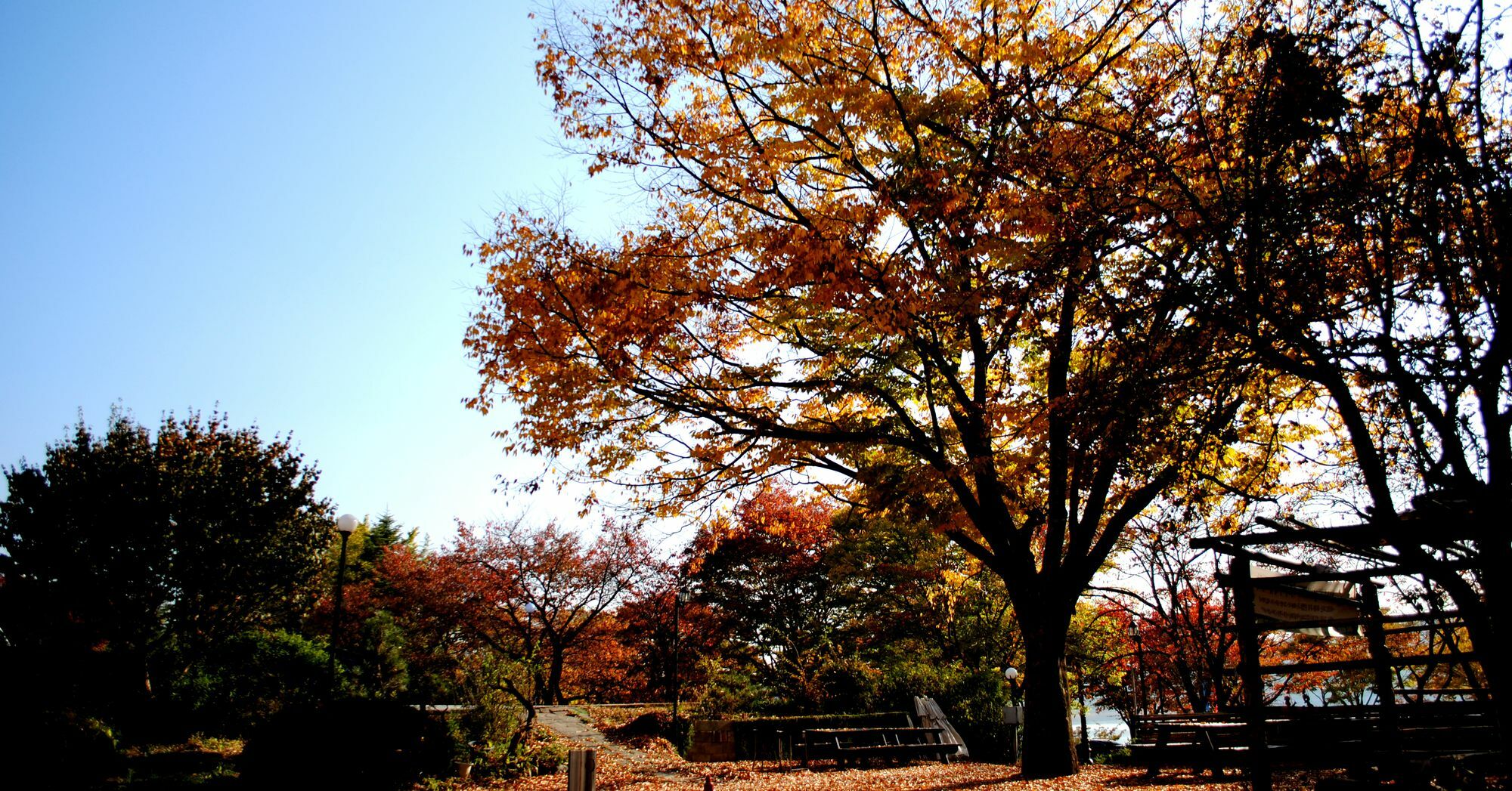 Corea Condo Gyeongju Luaran gambar