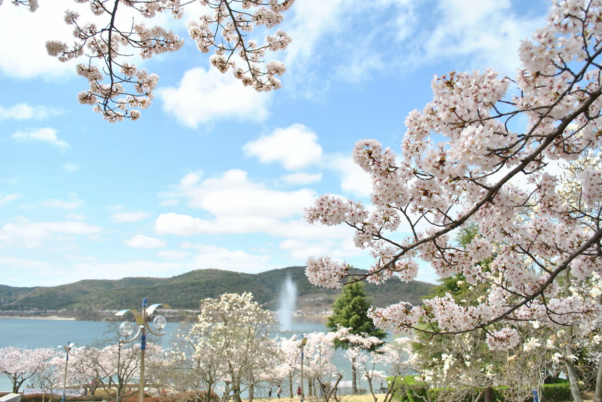 Corea Condo Gyeongju Luaran gambar